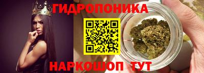 стафф Аргун