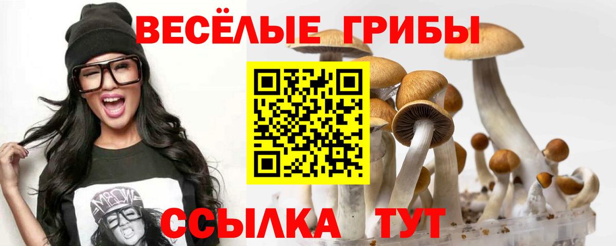 Псилоцибиновые грибы мухоморы  Вход с VPN  Астрахань 